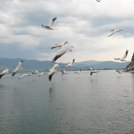 Vendégház Philippos